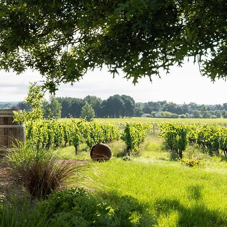 Loft Tout Equipe Au Coeur D'Un Domaine Viticole Campsas Εξωτερικό φωτογραφία