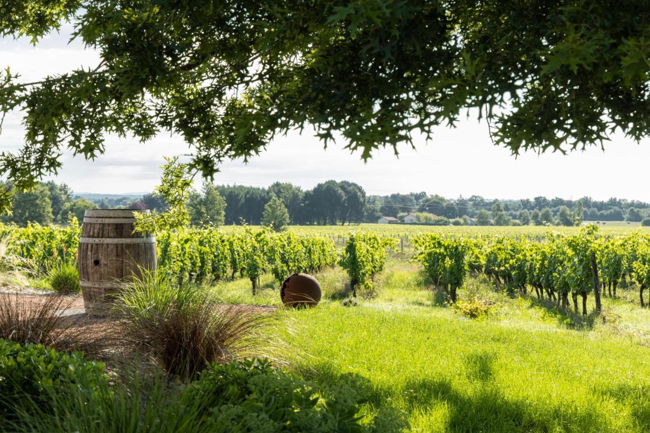 Loft Tout Equipe Au Coeur D'Un Domaine Viticole Campsas Εξωτερικό φωτογραφία